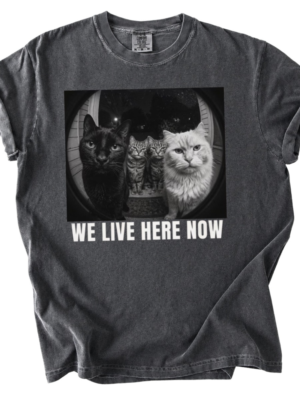 Comfort Colors We Live Here Now Cat Graphic Tee - Pepper